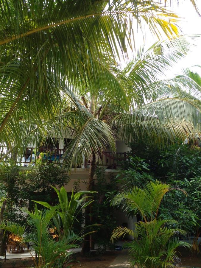 Little Sunshine Guest House & Restaurant Tangalle Exteriör bild