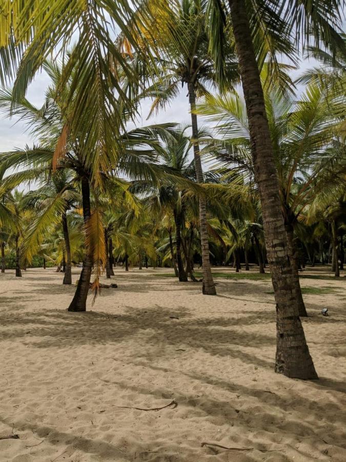 Little Sunshine Guest House & Restaurant Tangalle Exteriör bild